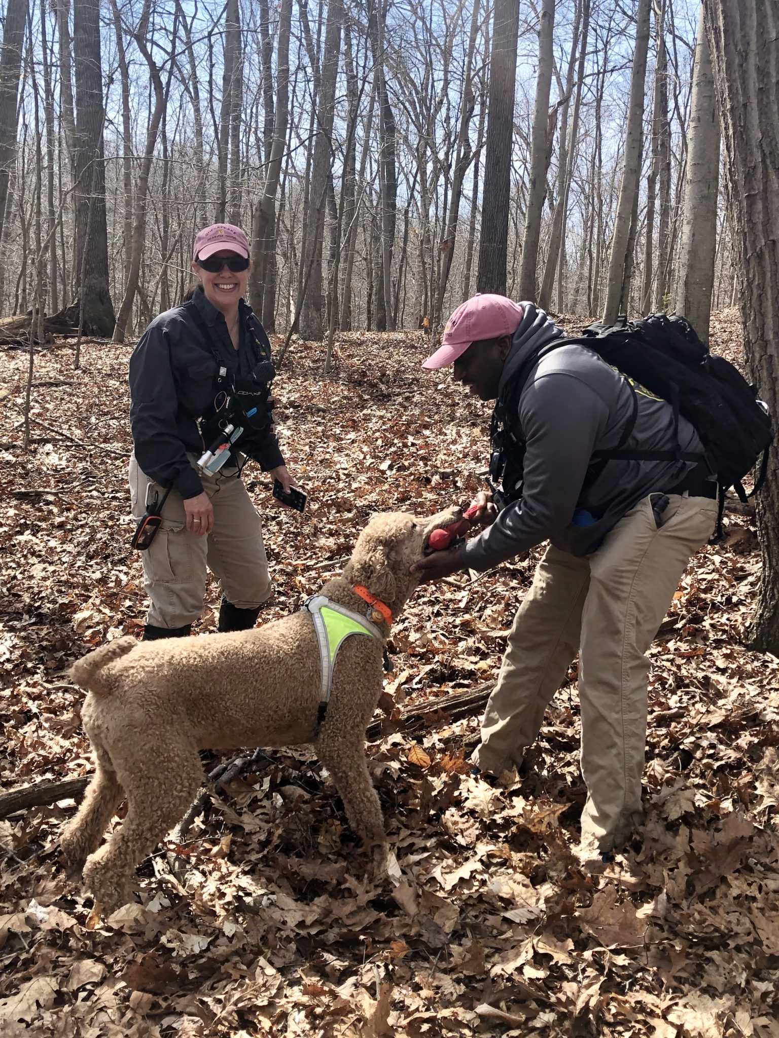 Our Team Chesapeake Search Dogs